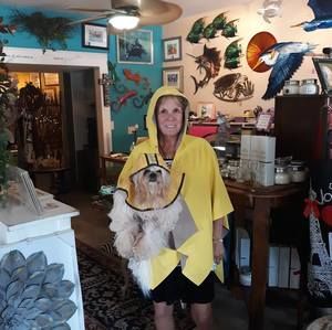 Meet your Posher, Susan